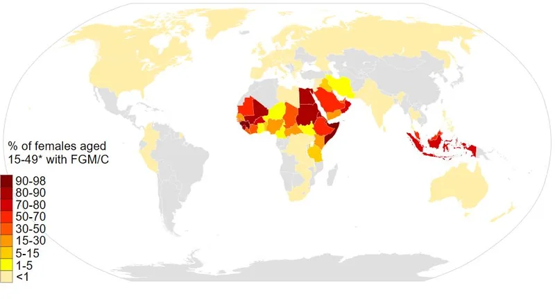 World map showing FGM/C prevalence by country