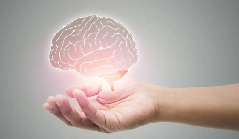 Hand holding glowing brain illustration